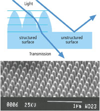 Dendrite structure